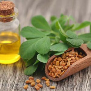 روغن شنبلیله تقدیس