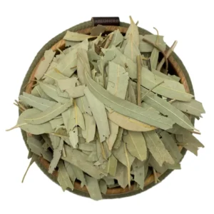 برگ اکالیپتوس