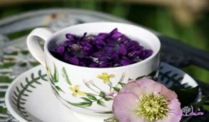 گل بنفشه 2 خواص گل بنفشه