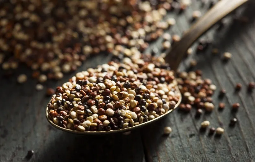 خواص کینوا؛ ۱۵ خاصیت عجیب کینوا برای پوست، مو و سلامتی 2 بهبود سلامت پوست از خواص کینوا
