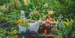 گیاهان دارویی چیستند؟ راهنمای آشنایی، انتخاب و خرید گیاهان دارویی 2 medicinal-herbs-buying-guide